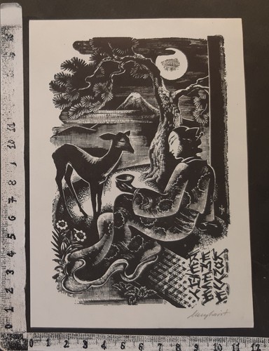 Wunderkammer exlibris 991 - c,