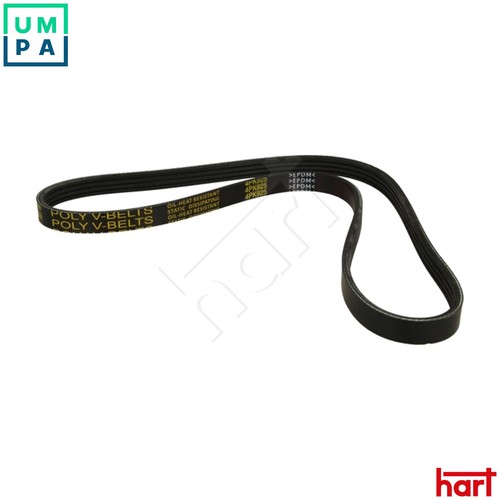 Vribbed belt 334 269 - 334, geo