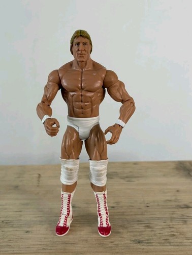 Wwe wonderful paul - mr.,