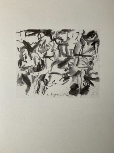 Willem kooning picasso - willem, (picasso