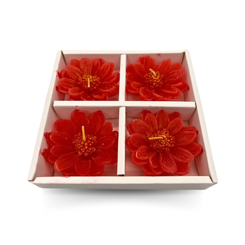 Set beautiful flower - set, 4