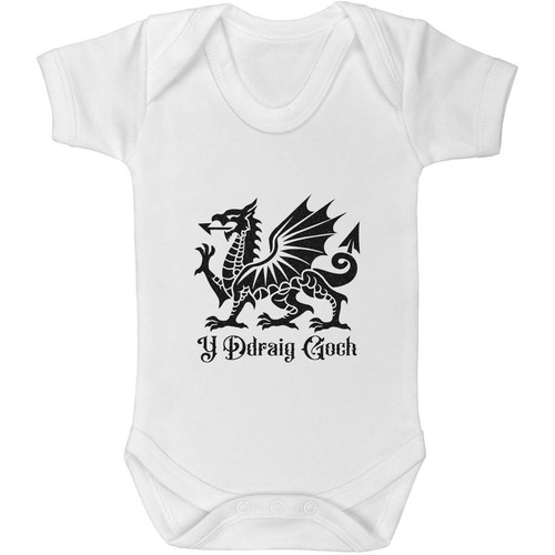 Welsh dragon baby grows - 'welsh,
