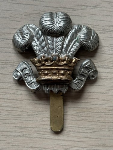 British army cap badge - army,