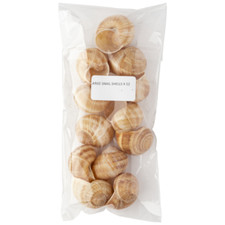 Sabarot snail shells - snail,