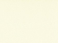 10 Sheets A4 Ivory Slightly