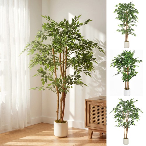 Decorative artificial plant - decorative,