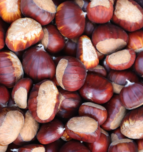 1kg sweet chestnuts sussex - sweet,