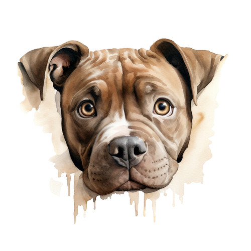 Olde english bulldog - 7x,