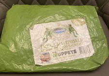 Kermit the frog backpack