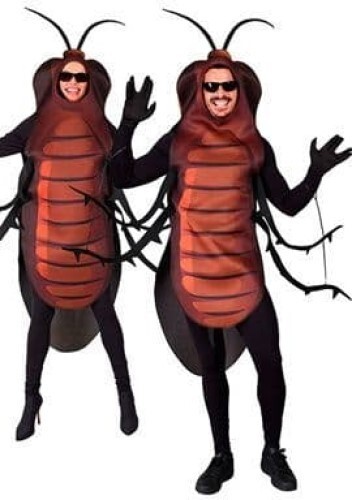 Adult unisex insect - insect, cockroach