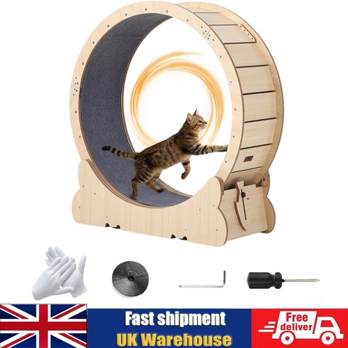 Cat exercise wheel large - cat,