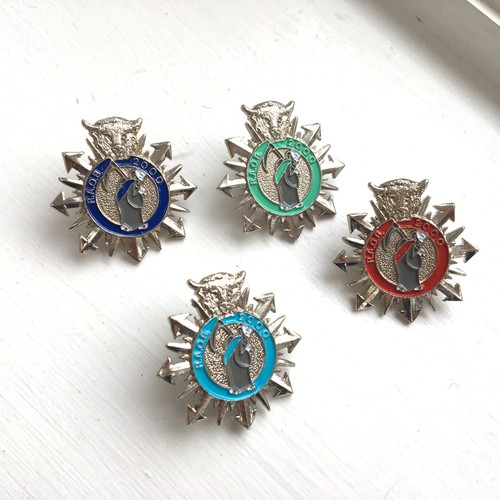 Raob charity badges millennium - raob,