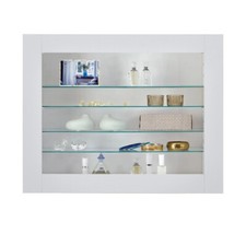 Modern Wall Display Cabinet Glass Shelves Model Collection Shelf Insert Cupboard
