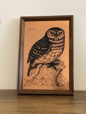 Etchmaster Original - Little