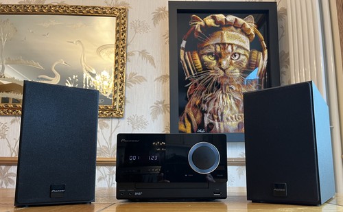 Pioneer cm31dab micro - micro, cd