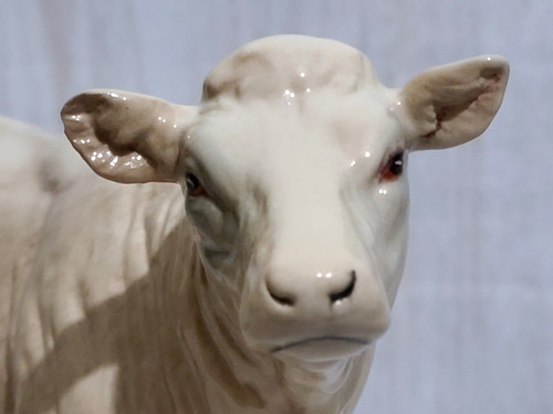 Beswick vintage rare charolais - beswick,