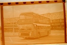 1976 BUS STRIP PHOTO NEGATIVES + COPYRIGHT  BUSES ROMFORD EGHAM EASTERN NATIONAL