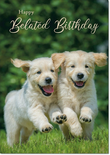 Doodlecards belated birthday - belated,