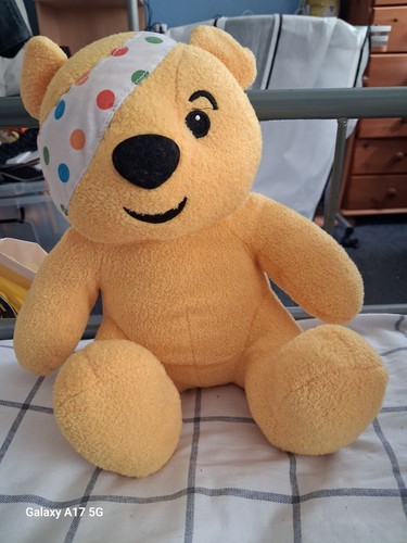 Pudsey bear - pudsey,