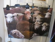 Fabulous 'Herdwick Gang' Tea Towel. BNWOT.