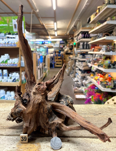 Med large ancient root wood - med/large,