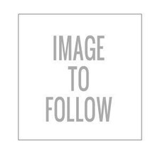 MAHLE 028 PI 00168 002 PISTON