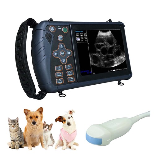 Veterinary ultrasound machine - ultrasound,