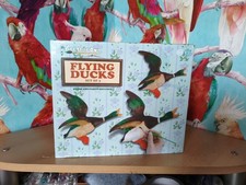 Paint your own - own, flying
