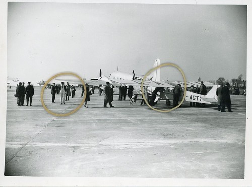 Auster vickers viking - &,