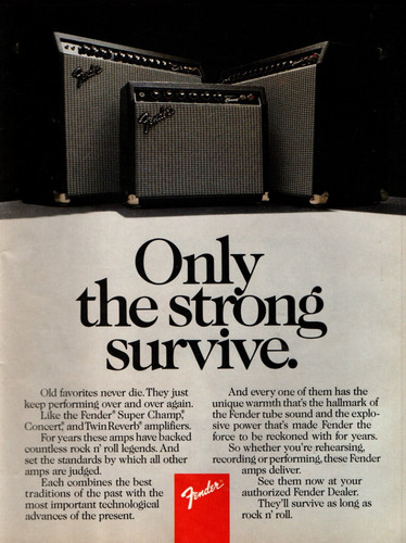 Vtg 80s fender amps magazine - vtg,