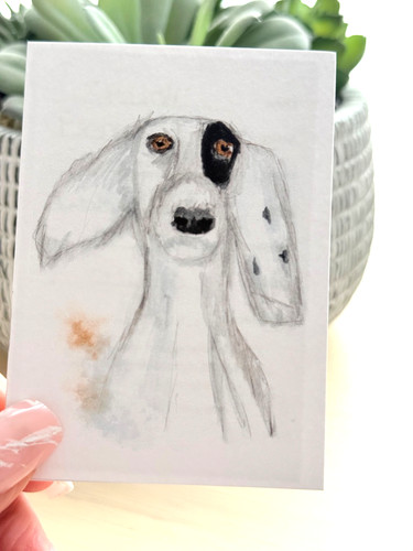 Aceo print holly - 'holly', |