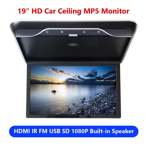 Black car ceiling overhead - 19",
