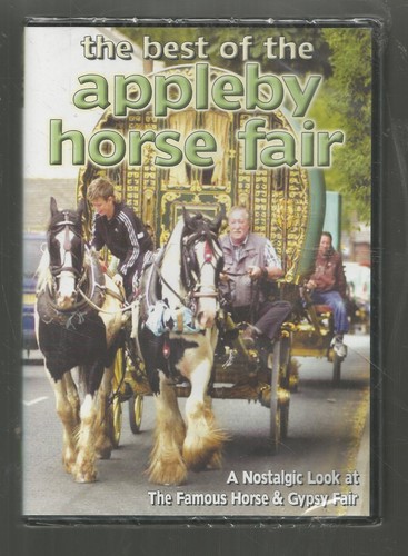 The best - of, horse