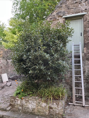 Sale large bay - approx, 4