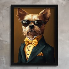 Elegant Yorkshire Terrier in A