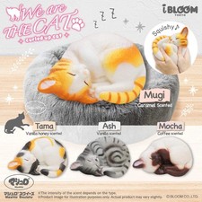 iBloom Squishy We Are The Cat