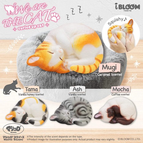 Ibloom squishy are - squishy, cat
