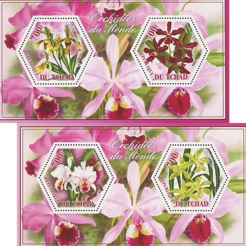 Orchid flower stamp - stamp, bundle