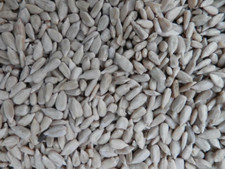 12.55kg SUNFLOWER HEARTS