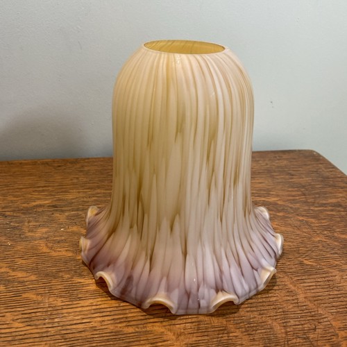 Tulip shape glass - shape, shade
