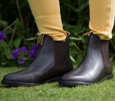 Gallop Lifestyle Brown Jodphur
