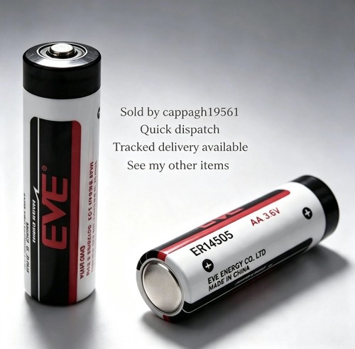 Eve lithium batteries - 2x, aa