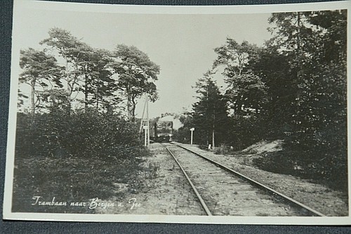 52029 netherlands tram - netherlands,