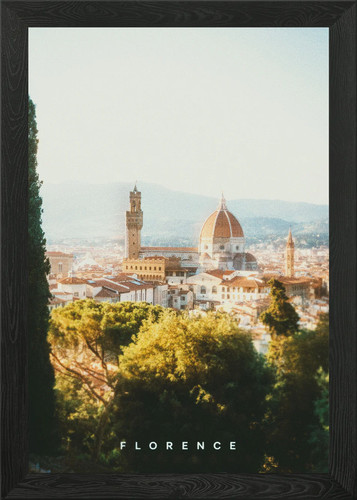 Florence framed wall art - florence,