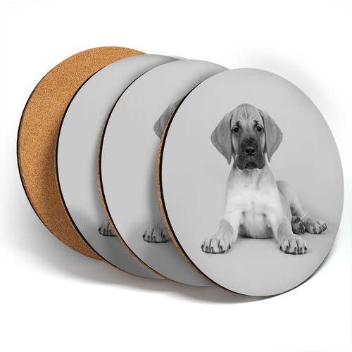 Coasters bw great - x,