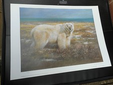JOEL KIRK LARGE LIMITED EDITION PRINT POLAR BEAR VGC LOW POST 