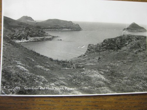 Com cove and mouls island - com,