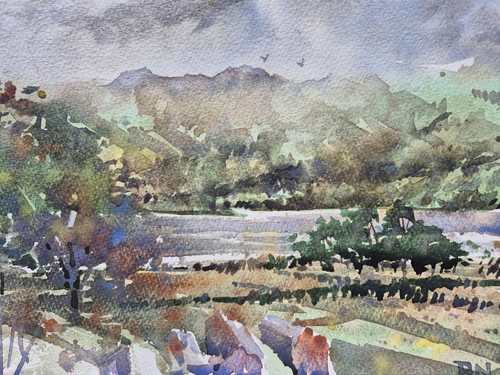 Devon landscape original - devon,
