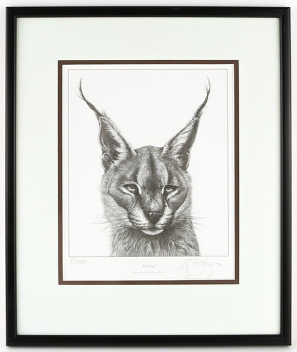 Gary hodges caracal - hodges, 'caracal'