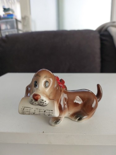 Cute basset hound - basset, dog
